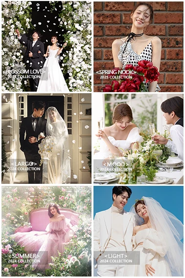 Types of Korean Wedding Photoshoot Collections